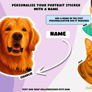 Personalised sticker of your horse, illustrated in cartoon style with focus on likeness
