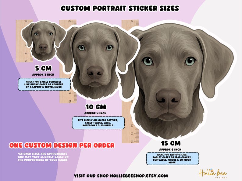 Sticker cheval personnalisé à partir d'une photo - Portrait de cheval personnalisé dans un style dessin animé, cadeau équestre, sticker cheval en vinyle, souvenir commémoratif d'animal de compagnie image 5