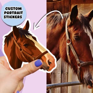 Custom Horse Sticker from Photo, Cartoon Pet Portrait, Funny Personalised Gift for Horse Owner, Horse Mum, Horse Dad, Personalised Portrait