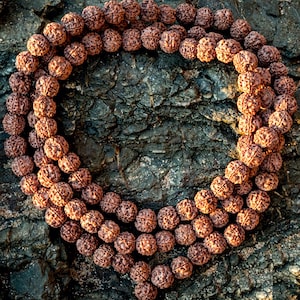 Large Rudraksha Seeds Prayer Beads, Japa Mala Necklace