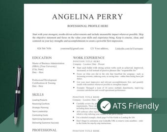 Professional Resume, Template for Word, Mac Pages, Google Docs + ATS Friendly Version | Resume Template, Modern Resume CV, Resume with Cover
