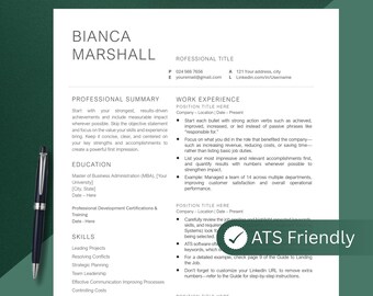 Modern Executive Resume Template 2026 for Word, Google Docs, Mac Pages Professional Modern Resume Template, Clean Resume, CV Resume Template