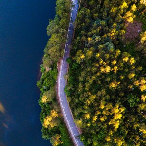 Geschwungene Straße am See – Luftbild-Natur-Wandkunstdruck | Wald- und Wasserlandschaftsfoto | Gedruckt