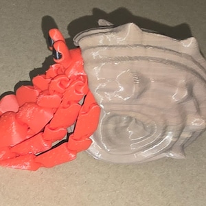 Hermit Crab with Removable Shell - Articulated 3D Printed Marine Life Desk Toy / Fidget