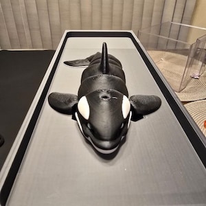 May include: A 3D printed articulated orca figure featuring a black and white body with a prominent dorsal fin, pectoral fins, and white eye patches. The orca is positioned within a rectangular gray tray, showcasing a layered texture.