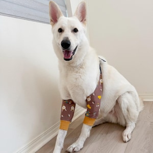 May include: A white dog wearing brown leg sleeves featuring a pattern of small white rabbits, rainbows, and yellow clouds. The sleeves have solid mustard yellow cuffs at the bottom and are secured around the dog's chest with thin black straps.
