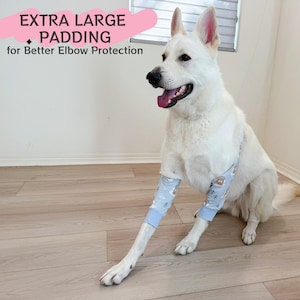 May include: A white dog wearing light blue elbow pads with a cartoon pattern. The pads are designed for elbow protection and have the text "EXTRA LARGE PADDING for Better Elbow Protection" in a pink bubble.