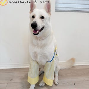 Könnte beinhalten: Ein weißer Hund trägt eine gelb-weiß gestreifte Doggy-Weitbein-Hose. Die Hose hat einen gelben Saum und blaue Paspeln. Der Text auf dem Bild lautet "Breathable Knee Design", "Stylish & Protective" und "Breathable & Soft".