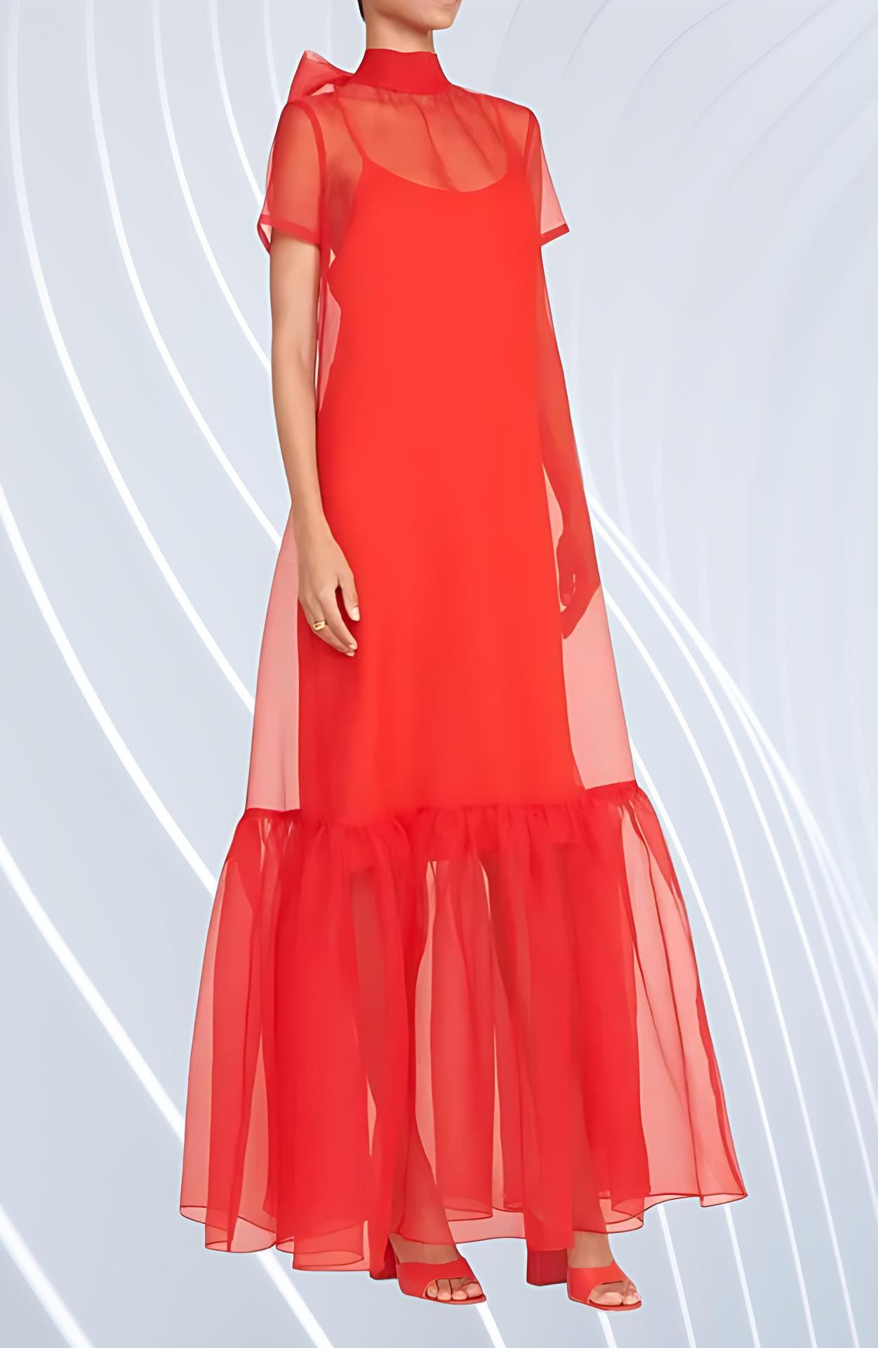 Sheer Organza Dress