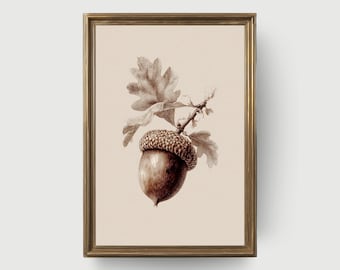 Arte Botânica Vintage de Bolota | Ilustração de Folha de Carvalho e Bolota, Impressão de Parede Natural, Download Digital Botânico Rústico