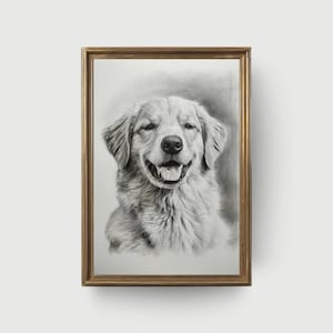 May include: A framed pencil drawing of a Golden Retriever dog. The dog is smiling with its mouth open, showing its tongue. The frame is a gold color. The drawing is in black and white.