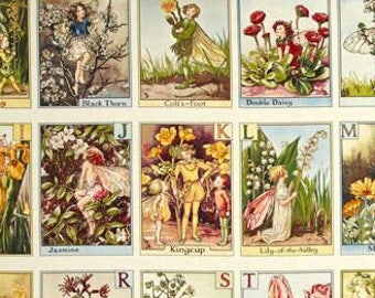Fairy Panel Fabric, FLOWER FAIRIES, Alphabet Panel, Fairy Panel for Quilting, DC4197, Michael Miller, Quilt Fabric, 24 Inch Fabric Panel