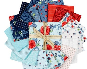 Baby Girl Quilt Penny Rose Fabrics Kelly Panacci Shabby Chic Quilting Riley Blake Fabric By the Yard Rose Hedge Main Aqua C7900