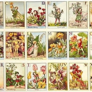 Fairy Panel Fabric, FLOWER FAIRIES, Alphabet Panel, Fairy Panel for Quilting, DC4197, Michael Miller, Quilt Fabric, 24 Inch Fabric Panel