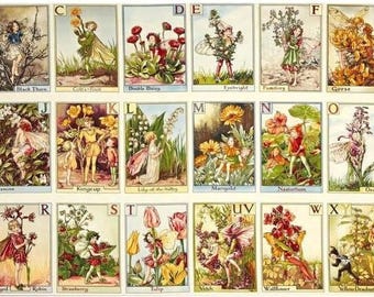 Fairy Panel Fabric, FLOWER FAIRIES, Alphabet Panel, Fairy Panel for Quilting, DC4197, Michael Miller, Quilt Fabric, 24 Inch Fabric Panel