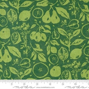 Quilt Fabric: Fruit Loop Green Cotton - Moda by Katherine Watson