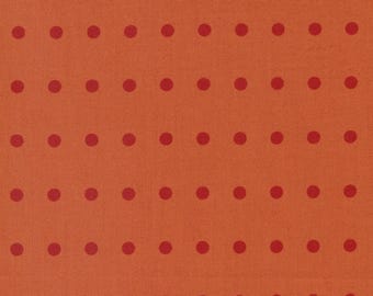 Cheeky Frisky in a Row 1773 21, by Zen Chic for Moda Fabrics, Quilt Fabric, Blender Fabric, Cotton Fabric, Quilting, Fabric By The Half Yard