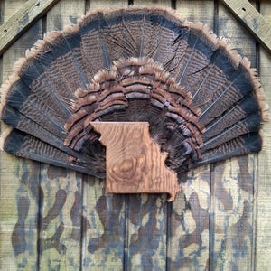 State Turkey Fan Plaque: Eastern Red Cedar or Stained Pine Wall Decor