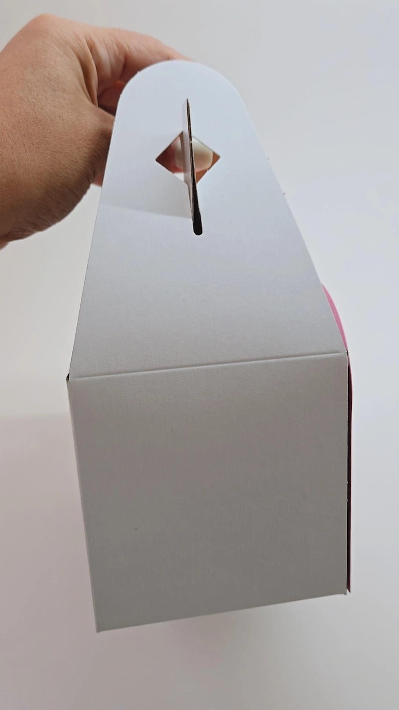 May include: A white, rectangular gift box with a handle. The box is made of cardboard and has a handle cut out at the top. The interior of the box is pink. The box is held by a hand.