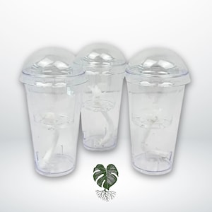 Plant Propagation Cups | Self-Watering Starter System for Corms or Seedlings | Optional Substrate Add-On: Fluval Stratum or Pon