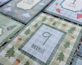 Baby Boy Milestone Cards – 12 Month Vintage Style Monthly Photo Prop Set – Classic Boy Nursery Decor