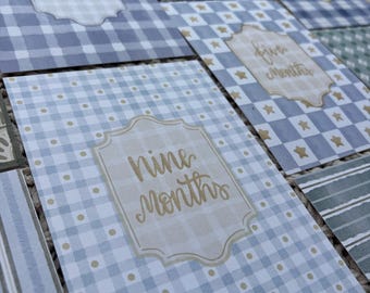 Baby Boy Milestone Cards – 12 Month Vintage Pattern Monthly Photo Prop Set – Classic Boy Pattern Nursery Decor