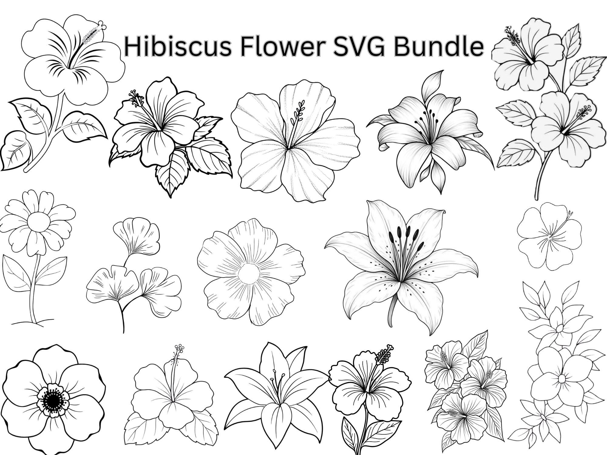 Hibiscus Flowers Svg Bundle, Tropical Floral Clipart Png, Hawaiian ...