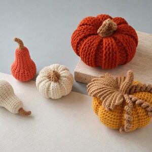 May include: A collection of five handmade crochet items including a large orange pumpkin, a smaller cream pumpkin, a small orange gourd, a small cream pear-shaped gourd, and a yellow pumpkin decorated with brown crocheted leaves and vines.