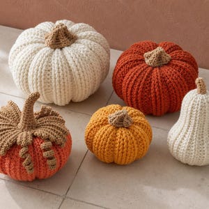 May include: A collection of five crocheted pumpkins in various sizes and shapes. The set includes a large cream pumpkin, a medium rust-orange pumpkin, a small golden-yellow pumpkin, a pear-shaped cream gourd, and a coral pumpkin with brown leaves.
