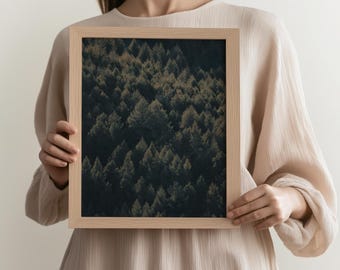 Stampa di pini, fotografia di paesaggi della Nuova Zelanda, arte murale minimalista, poster di viaggio