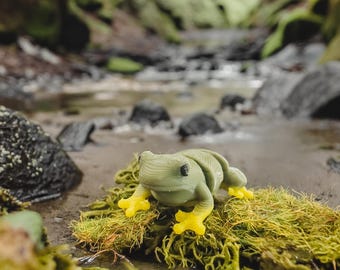 Miniature Frog Pet