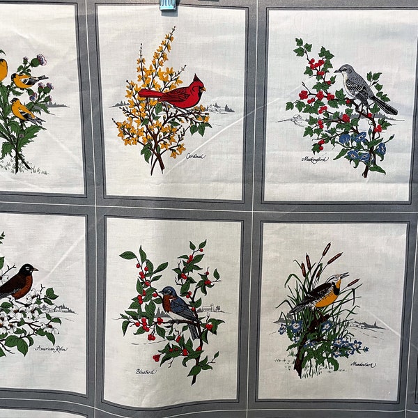 Vintage American Songbird Birds & Flowers Nature Fabric Robin, Cardinal, Meadowlark, Craft Quilting 9" squares Cotton Cranston VIP