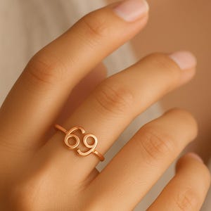 Minimalist 69 Wire Ring – Adjustable Sterling Silver, Gold & Rose Gold | Unique Number Ring | Dainty Zodiac-Inspired Jewelry Gift for Her