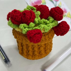 Häkelanleitung für einen Rosen-Untersetzer im Topfdesign, florale Tassenunterlage (PDF), romantische 3D-Rosen-Tassenmatte, Cottagecore-Deko, handgefertigtes Geschenk für Sie