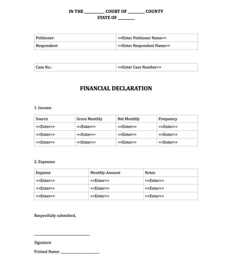 Family Court, Legal Document, Exhibit, Parenting Plan, Finances ...