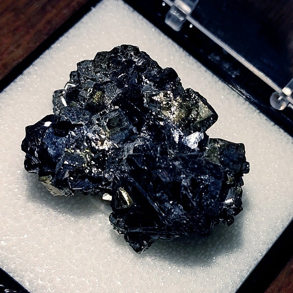 Cassiterite with Pyrite in Labeled Display Box - (Display Collectible)