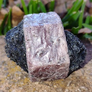 Puede incluir: Primer plano de una gema en bruto. La piedra presenta una formación cristalina rectangular, de color púrpura claro, sobre una base oscura y texturizada. El fondo incluye hierba verde y hojas marrones.