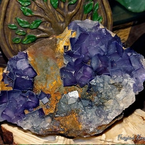 Puede incluir: Primer plano de un espécimen de fluorita con vibrantes cristales cúbicos morados. Los cristales se asientan sobre un fondo de roca marrón y gris, mostrando una apariencia natural y texturizada. La fluorita es un mineral llamativo.