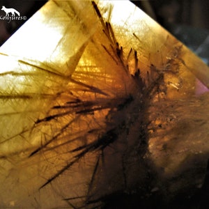 Gold Rutile  Smoky Quartz Display Specimen - &quot;The Luck Fish&quot;