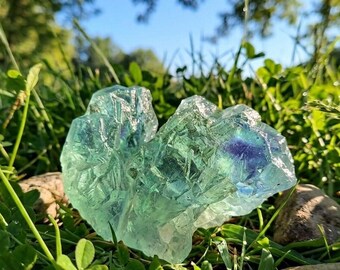 May include: A translucent, multi-faceted fluorite crystal with shades of green and blue rests in a bed of green grass and clover. The natural light highlights the crystal's unique shape and color variations, creating a striking contrast.