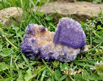 May include: A close-up of a purple and tan fluorite crystal cluster. The crystal has a large, square-shaped purple section and smaller purple crystals around a tan base. The crystal is resting in green grass.