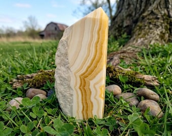May include: A polished, rectangular onyx crystal with a natural, rough edge. The stone features layers of creamy white and golden-yellow bands. The crystal is displayed outdoors in green grass with small stones and a tree in the background.