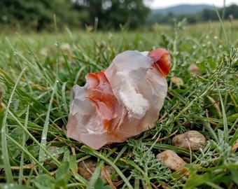 May include: A translucent, rough-cut gemstone with red and white inclusions rests in green grass. The stone's surface reflects light, and the natural setting includes small rocks and blades of grass.