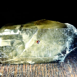 Smoky Quartz with Red Garnet Growth Display Specimen - &quot;Crystal of Neathid&quot;