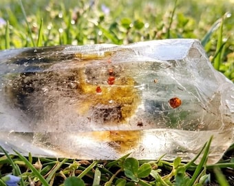 May include: A clear, rectangular crystal with inclusions of amber and red hues, resting on a bed of green grass. The crystal's surface is textured, catching the sunlight and reflecting the surrounding greenery.