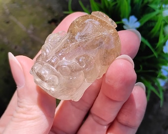 Könnte beinhalten: Eine geschnitzte, durchscheinende, bernsteinfarbene Kristallfigur in Form eines mythischen Kreaturenkopfes. Die Figur wird in einer Hand gehalten, wobei Details der Schnitzerei sichtbar sind. Der Hintergrund umfasst Grün und kleine weiße Blumen.