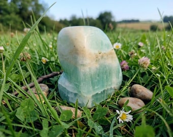 May include: A polished, layered stone with bands of light green and beige hues. The stone is set in a bed of green grass, clover, and small wildflowers. The natural light highlights the stone's texture.