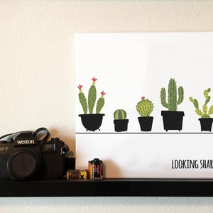 May include: A white canvas print with a black and white illustration of five potted cacti. The text "LOOKING SHARP." is printed at the bottom of the print.