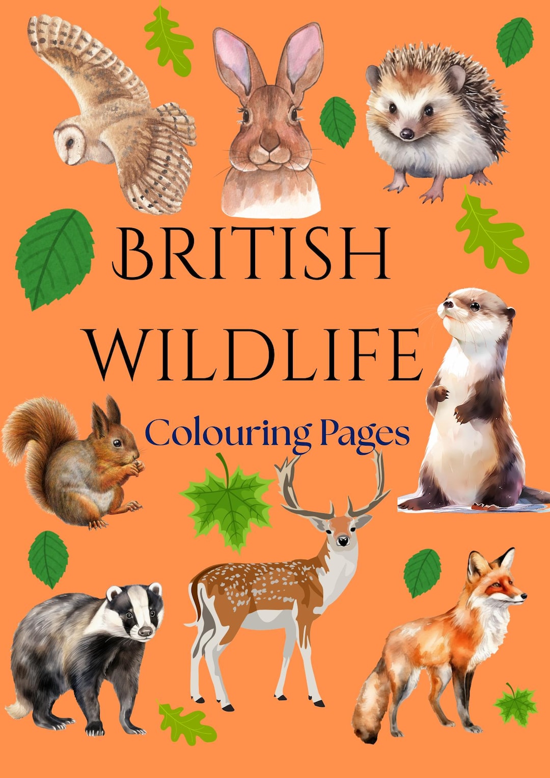 British Wildlife Colouring Pages - Etsy