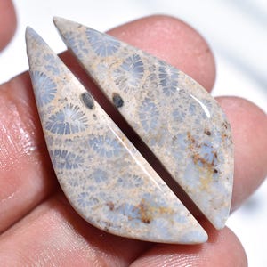 以下が含まれることがあります： ライトブルーとベージュの模様が入った、涙の形をした2つの磨かれた石。石には花のようなデザインがあり、手で持たれています。石は滑らかで光沢のある仕上がりです。